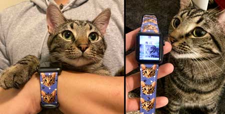 Bande de montre Apple portrait d'art animalier personnalisé,